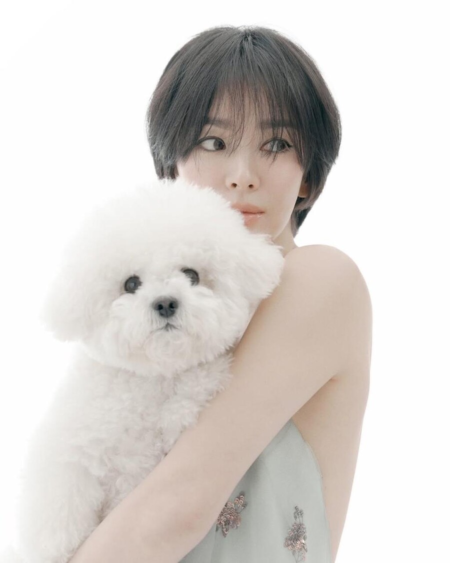 ▲ 출처|송혜교 인스타그램