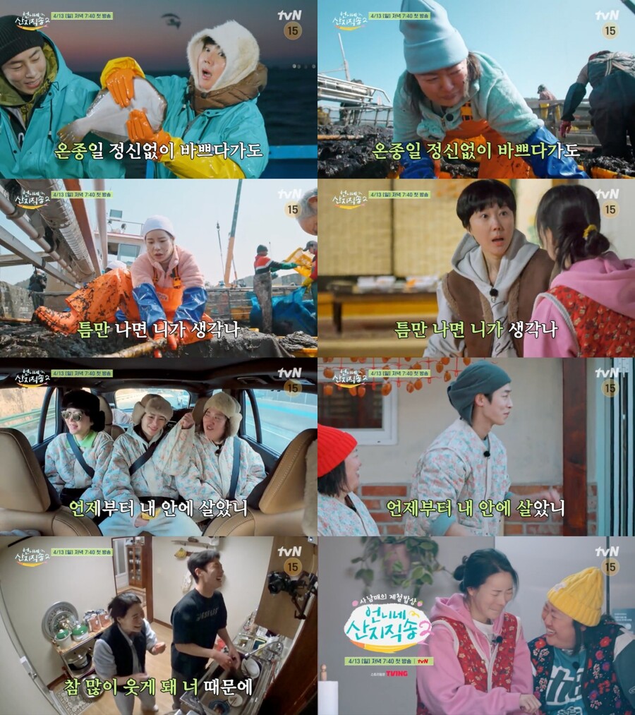 안은진·덱스 가고 임지연·이재욱 왔다…'언니네 산지직송2', 新4남매 케미 예고