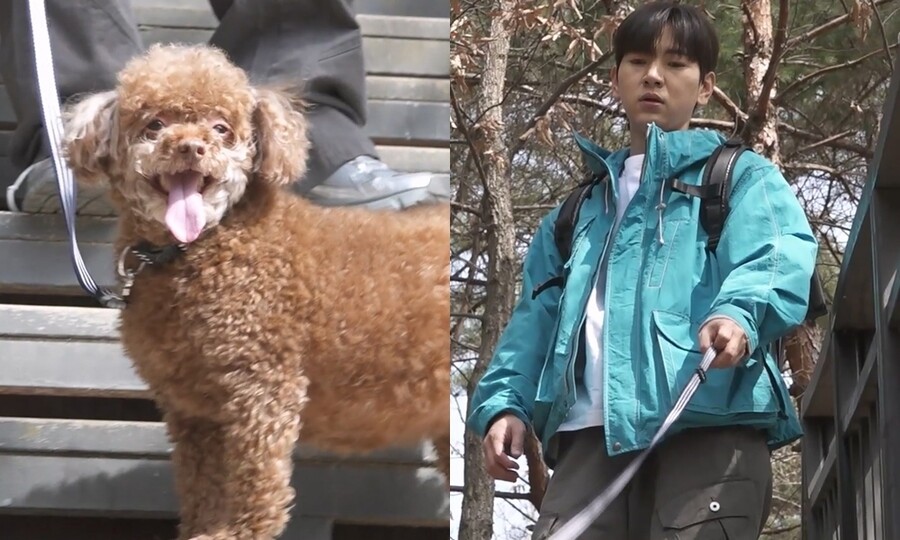 ▲ 제공|MBC '나 혼자 산다'