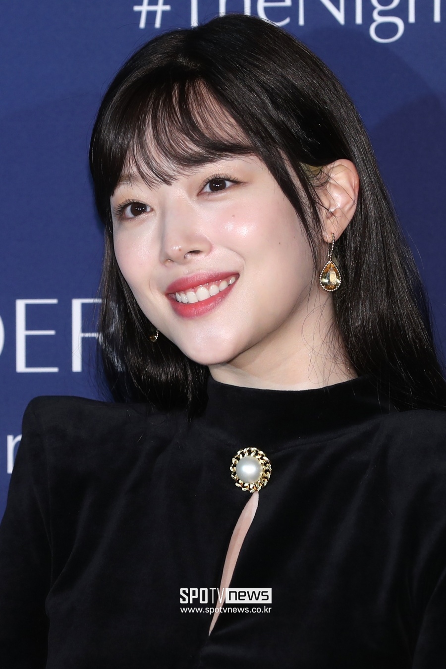 故설리 오빠, 연예인 실명 거론 무차별 폭로→결국 글 삭제