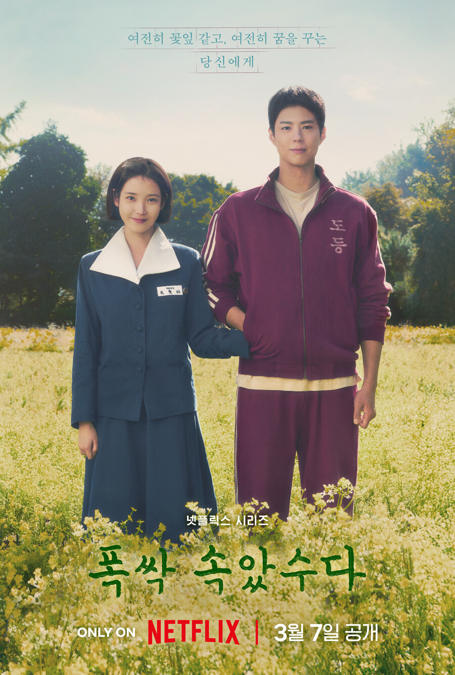 '폭싹 속았수다', 백상예술대상 최다 8개 부문 후보 '돌풍'[공식]