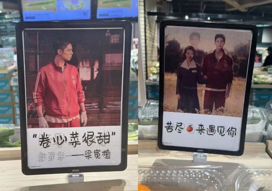 中 '폭싹' 박보검·아이유 초상권 무단 사용...서경덕 "당국 나서야"