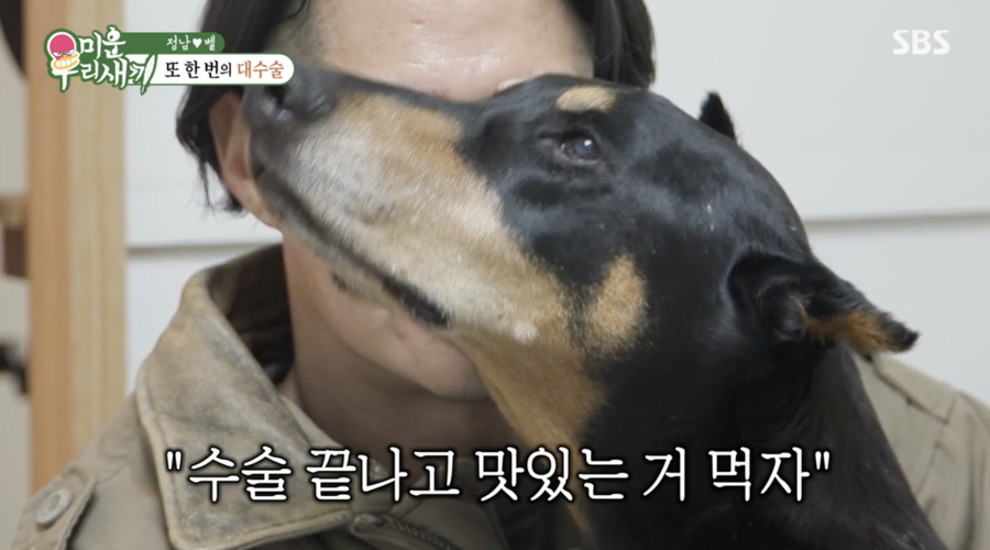 배정남, 전신마비 딛고 회복한 기적의 반려견 벨…2년 반만에 악성종양 수술('미우새')