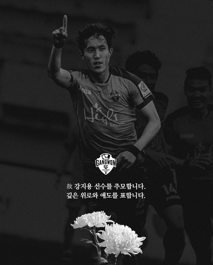 ▲ 출처|강원FC
