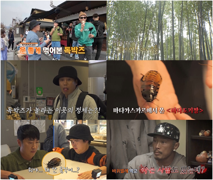 '독박투어3' 바퀴벌레 먹방 감행..김준호→유세윤, 충격과 공포