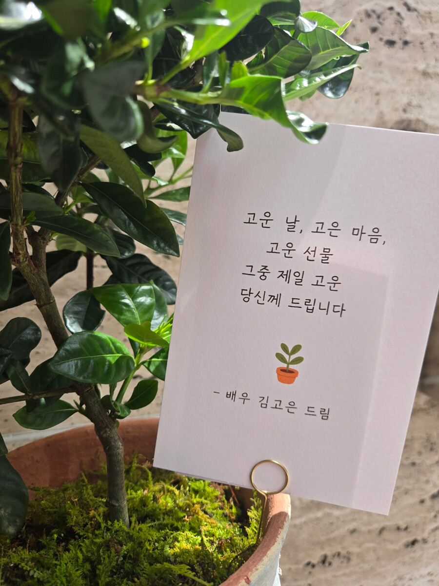 ▲ 김고은이 선물한 화분과 카드. 제공| BH엔터테인먼트