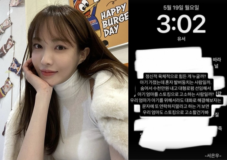 '임신으로 남친과 법적다툼' 서민재, 유서 추정 글 '파장'