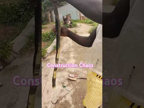 Snake Spotted On Site! You Won't Believe What Happened NEXT. #seo #constructionsite #sitework