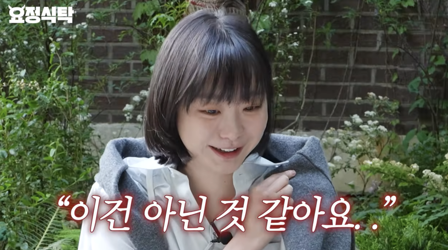 ▲ 사진 | 요정재형 화면