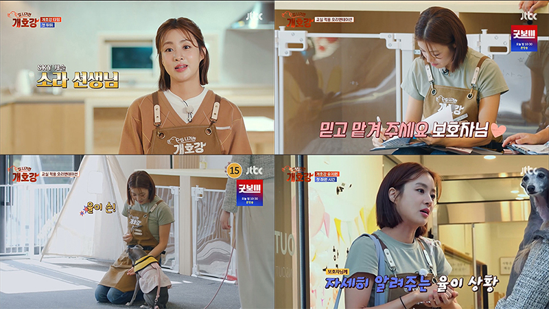 "어딜가나 직원처럼 일해"…강소라, '알잘딱깔센' 멍선생님('집나가면 개호강')
