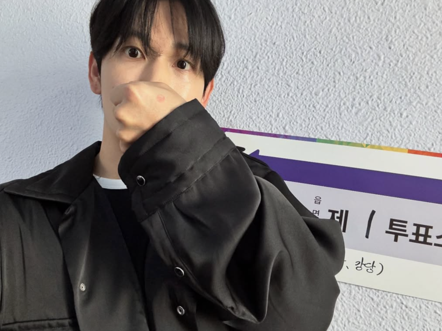 임시완, 검정색 옷 입고 정치색 논란 원천차단 투표 인증