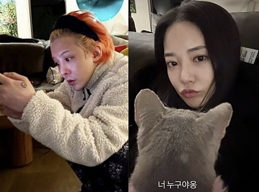 지드래곤 측, 이주연과 '또' 열애설 재차 부인 "사실 아냐"[공식]