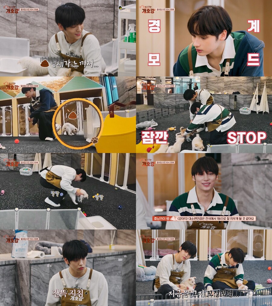 투바투 수빈, 동물 보호단체에 1000만원 기부…'찐' 동물사랑('개호강')