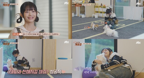 '개호강' 아이브 레이, 시청각 장애견 '테토' 감동 케어 "마음 열어 안심"