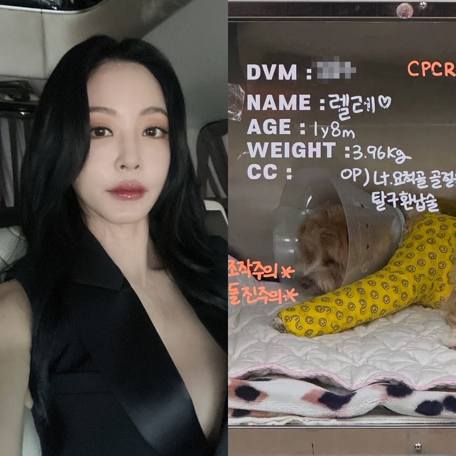한예슬, 반려견 낙상→골절에 "CCTV 확인하니 직원 실수…수술 후 입원중"