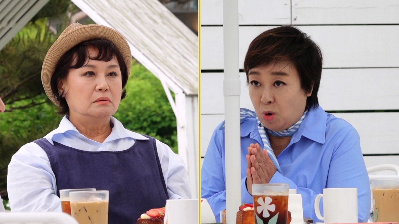 박은숙 "혜은이와 내가 그만둬야겠다" 동거 7년만의 위기('같이 삽시다')