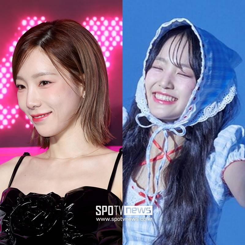 "태연·김태연에 사과"…장수군, 축제 섭외 논란에 2차 입장 '대행사와 소통부재'[공식]