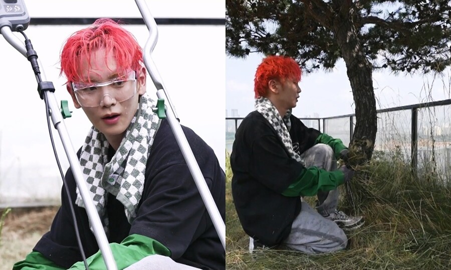 샤이니 키, 땡볕 아래 예초 작업하다 땀 범벅…주저앉아 '울먹'('나혼산')