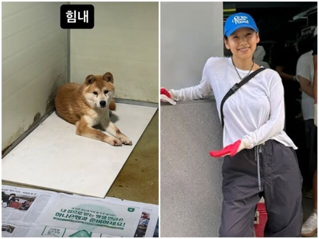 이효리, 폭염에도 '유기견 봉사' 포기 못해..뜨거운 선행