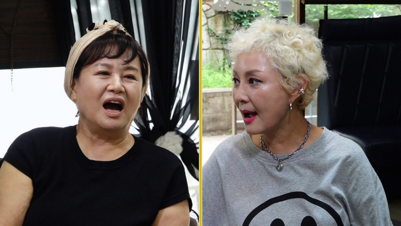 박원숙, '집 장사' 루머 언급 "방송 노출 후 집 팔아 시세 차익 남겼다고"('같이삽시다')