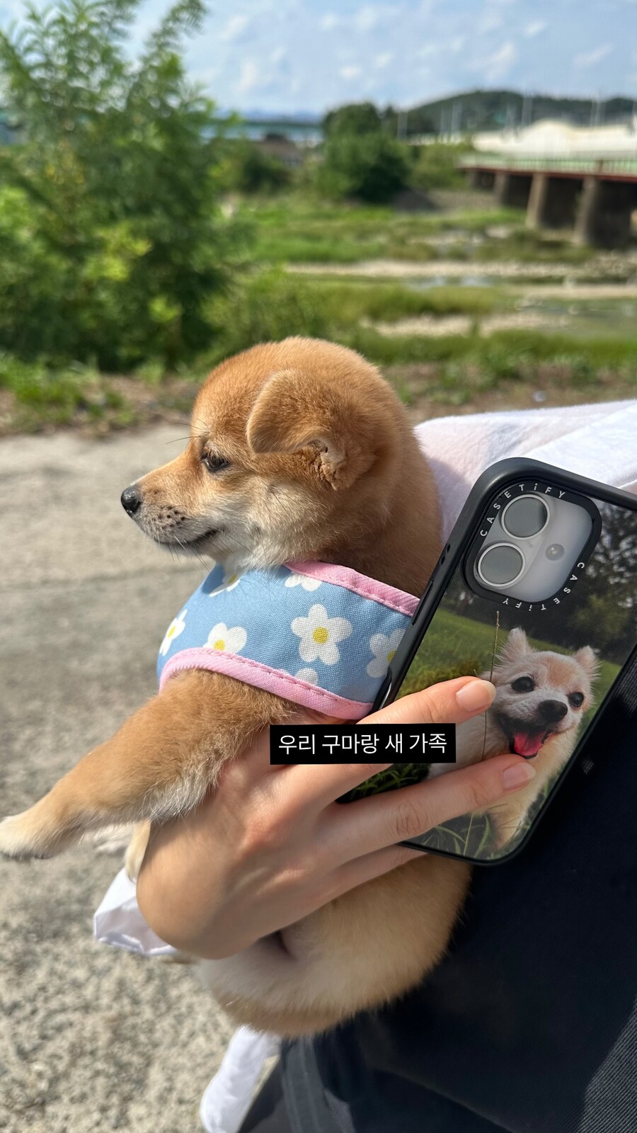 이재윤, 그렇게 그리워하더니…운명같은 새 식구 만났다 "쏙 빼닮았네"