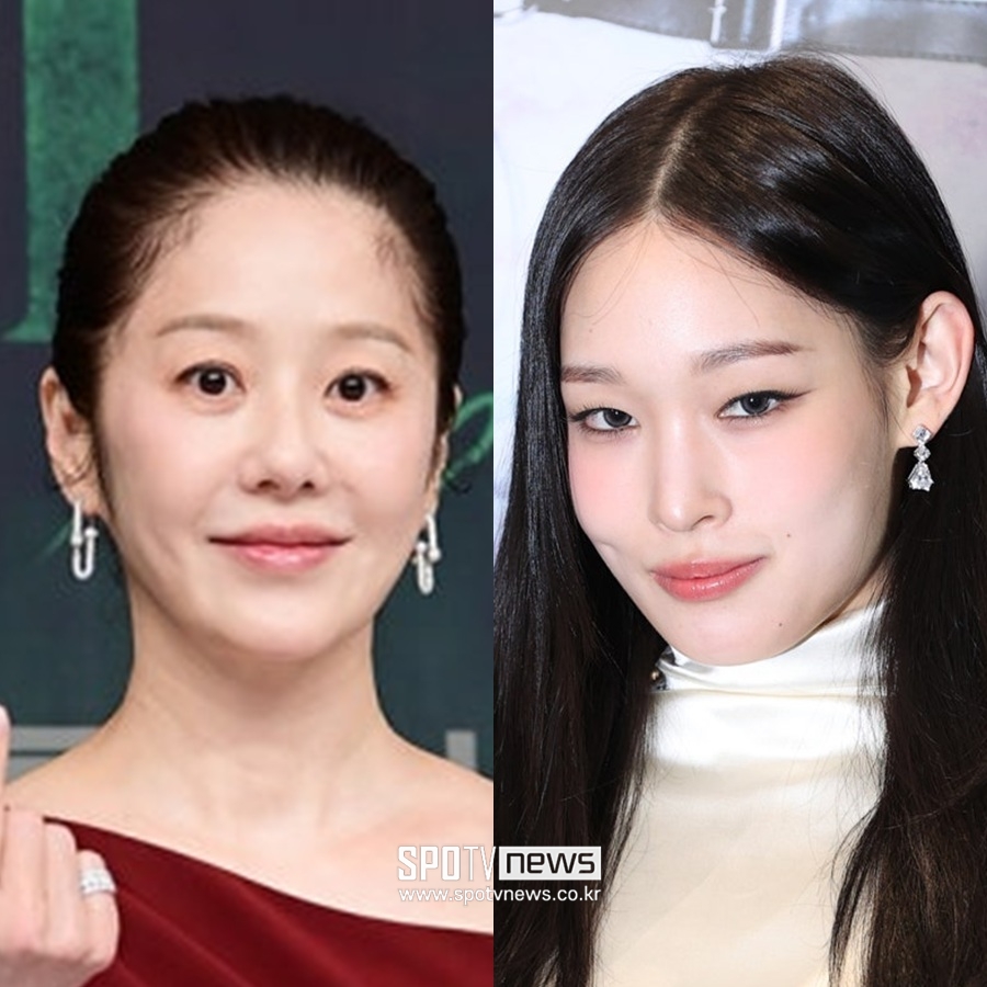 고현정, '전남편 조카' 애니 화보에 좋아요 꾹…이혼에도 쿨한 '공개 응원'