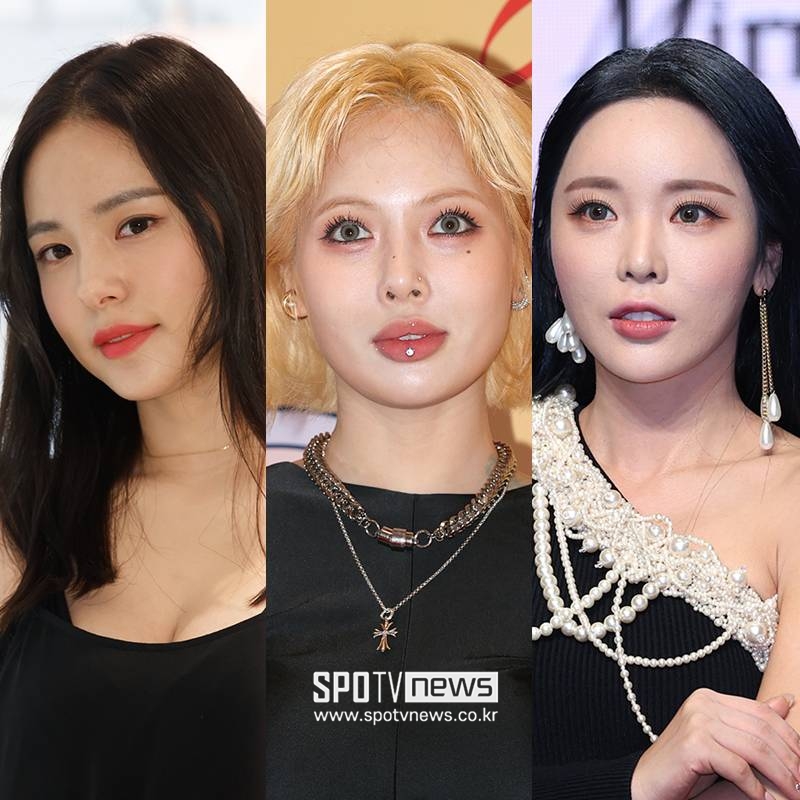 민효린·현아→홍진영, 툭 하면 임신이래…미혼·기혼 안 가리는 무례함[이슈S]