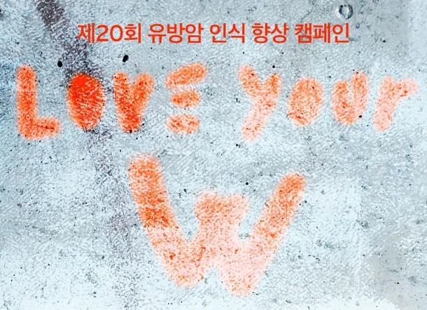 ▲ 출처|더블유코리아