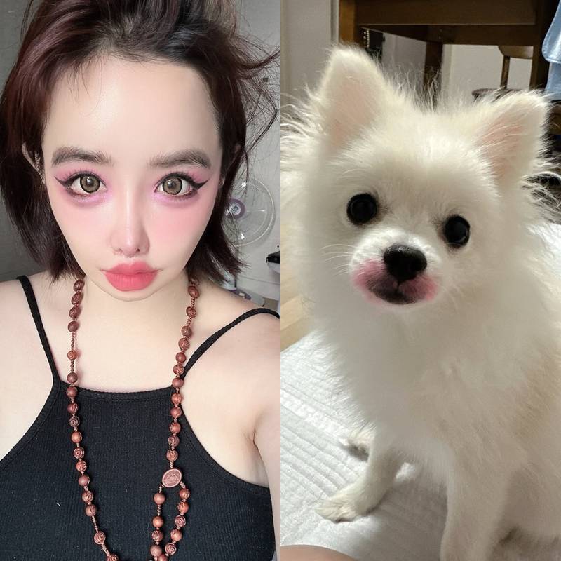 ▲ 박봄(왼쪽), 박봄 반려견. 출처| 박봄 SNS