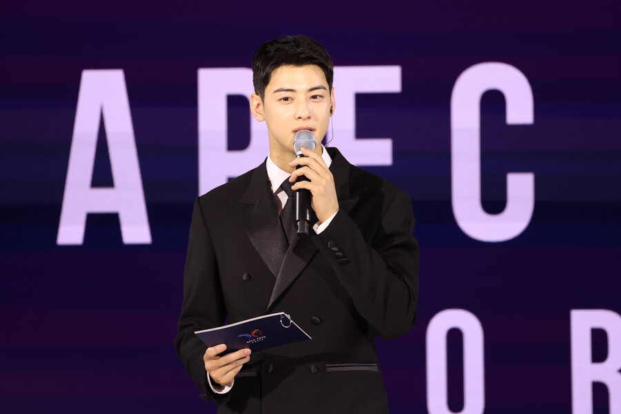 "국익증진 OK"…'일병' 차은우, APEC 정상회담 사회 '국위선양 비주얼'