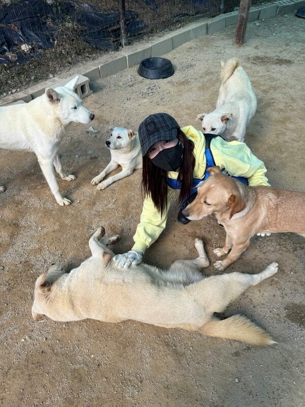 ▲ 유기견 보호소에서 봉사활동을 벌인 손소망. 제공|레드스타트이엔엠
