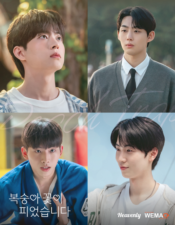 '복숭아 꽃이 피었습니다', 글로벌 팬심 잡았다…'BL 전문 플랫폼' 헤븐리, 첫 오리지널 드라마