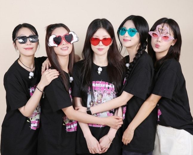 ▲ 출처| 에이핑크 SNS