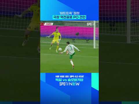 제2의 케인'으로 평가받았던 패럿 근황 #shorts