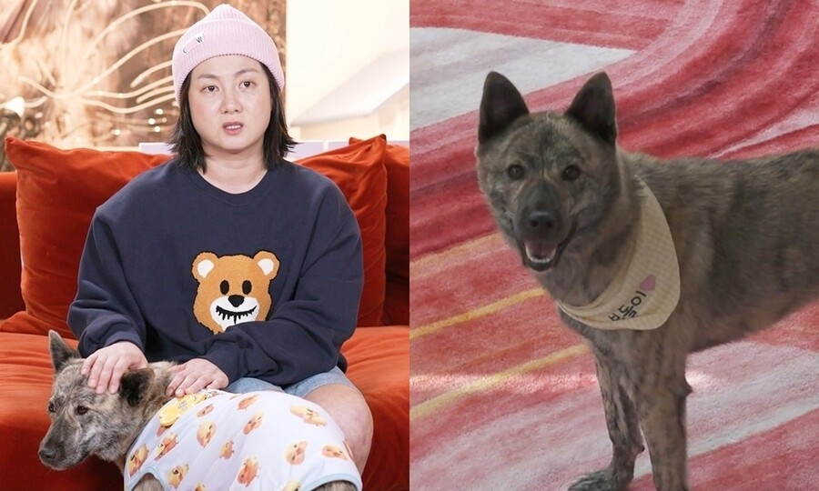 박나래, 새 가족 생겼다…돌아가신 조부모 반려견 입양('나혼산')