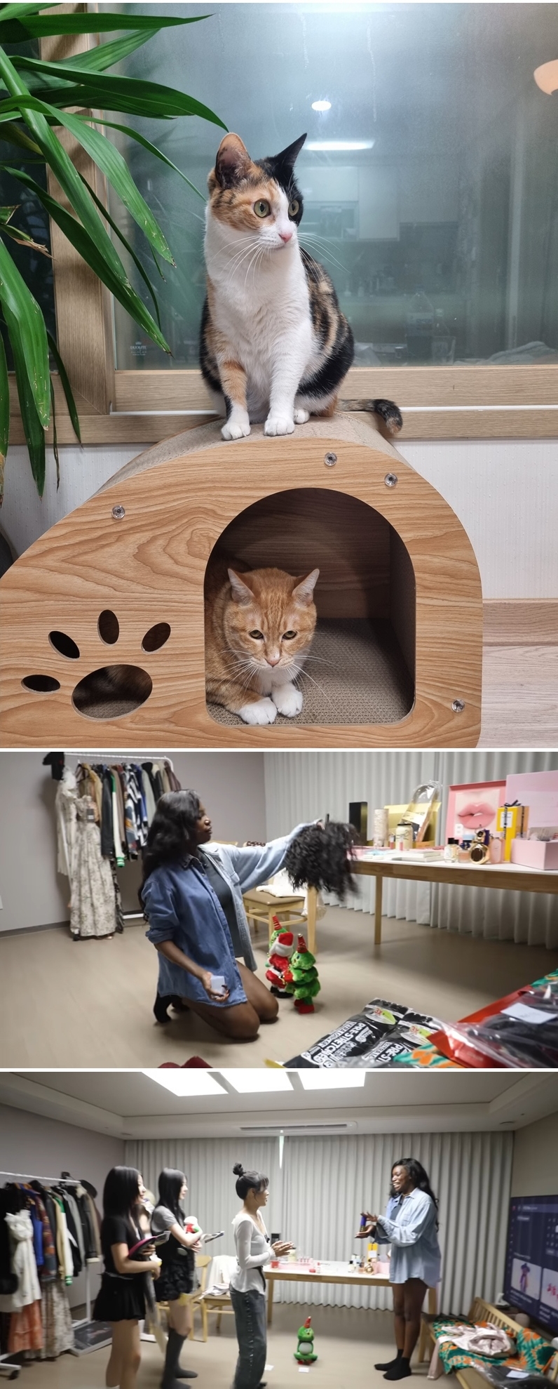 카니, 로또 황금손 진출…"행운의 에너지 전하고파"