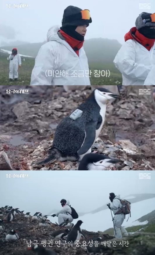 백종원 '남극의 셰프', '동물 학대' 오해 풀렸다.."연구원만 펭귄 만질수 있어"