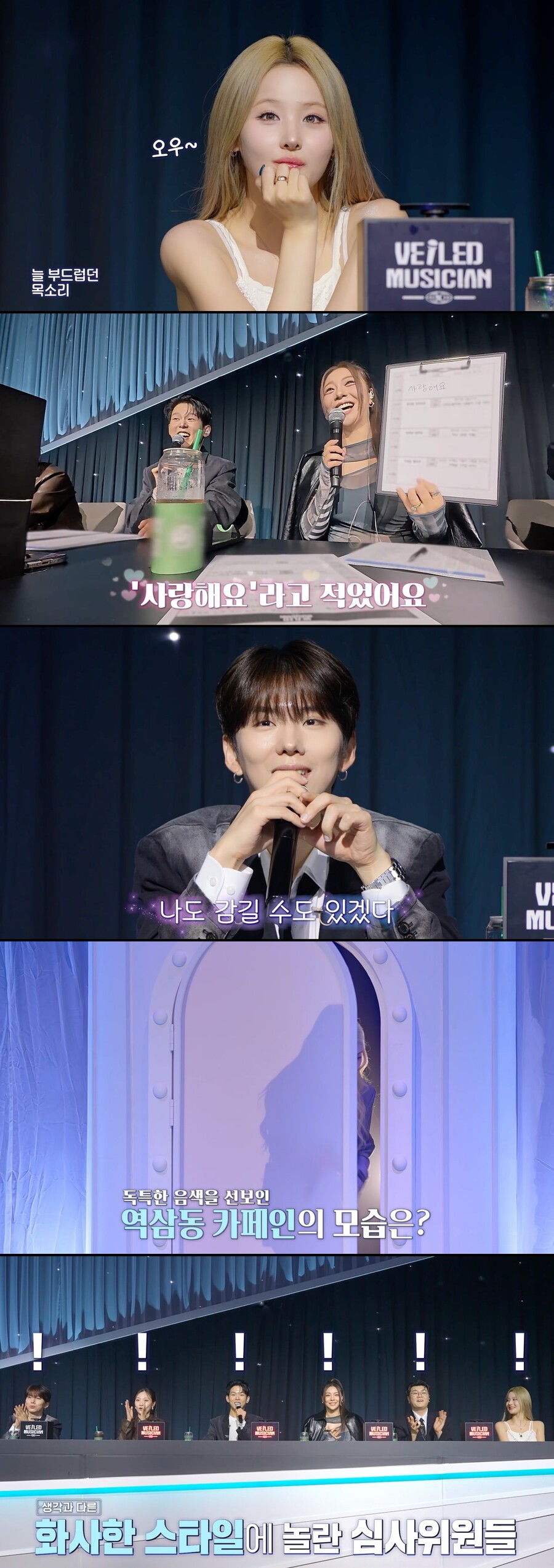 깐깐한 에일리도 "사랑해요"…'베일드 뮤지션' 미스터리 참가자 대거 등장