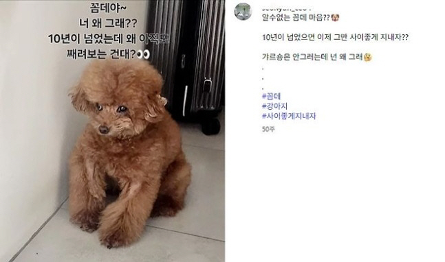 ▲ 출처| SNS