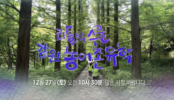 ▲ 제공|MBC강원영동