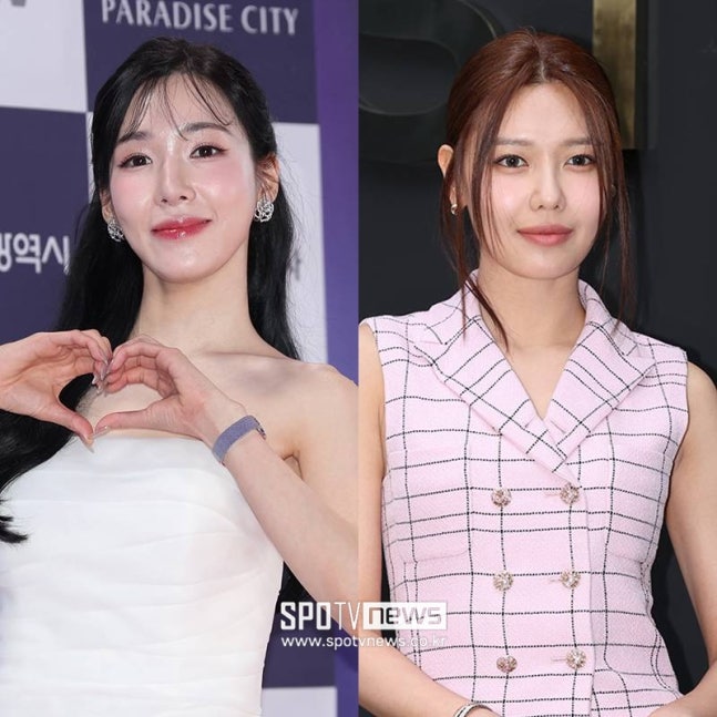 장기연애 수영→결혼준비 티파니…효연 "소녀시대 멤버끼리 서로 결혼 눈치"('돌싱포맨')