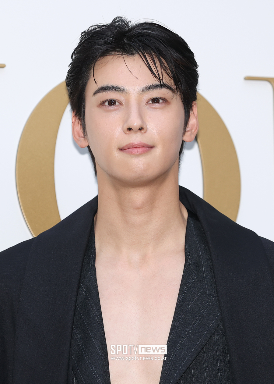 "차은우 추징금 절반은 '거짓말한 대가'"…200억 탈세 의혹 쟁점 셋[이슈S]