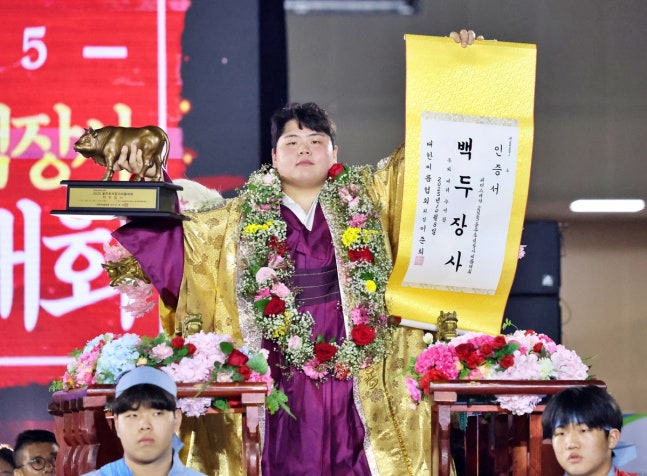 ▲ 괴물 김민재가 충남 태안에서 열리는 설날장사 백두급을 품을 수 있을까. 2025년 설날 장사에 이어 또 꽃가마를 노린다. ⓒ대한씨름협회