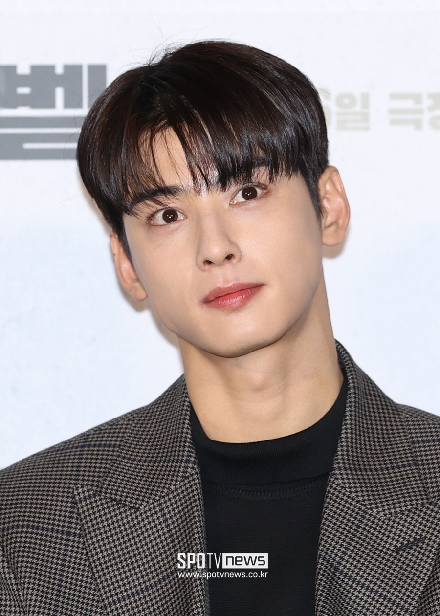 납세자연맹, '200억 추징' 차은우 과세정보 유출자 고발…"명예·인권 훼손"