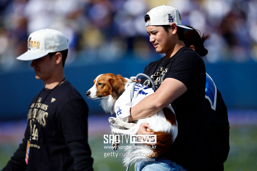 어쩌다 개만도 못한 팀이 됐나… MLB 최저 승률 팀 수모, 결국 조롱거리로 전락했다