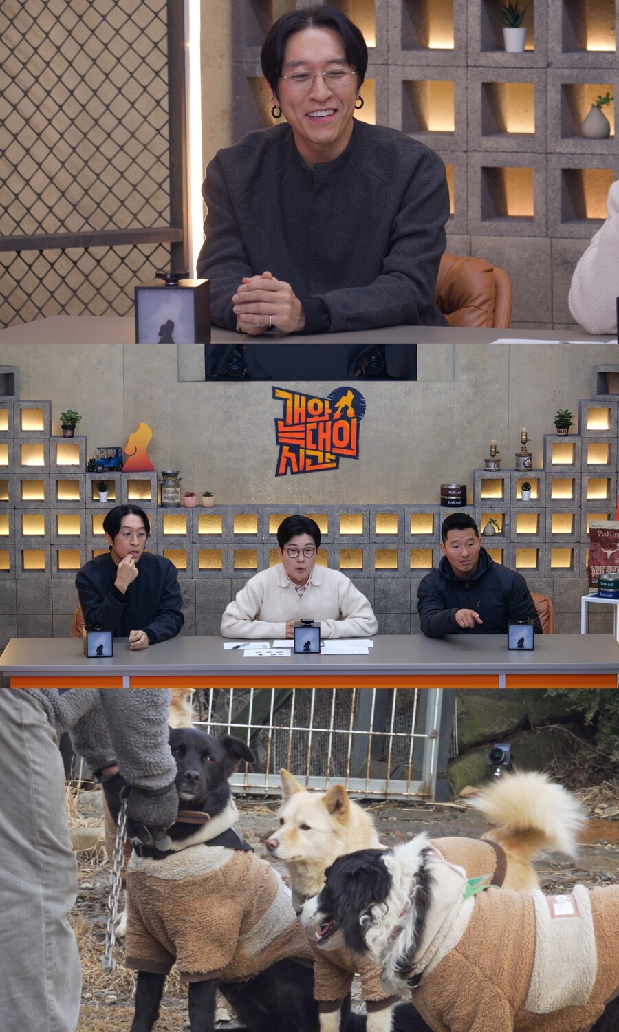 빽가, 개물림 사고 피해자였다…"서핑갔다 들개들이 반려견 공격"('개늑시2')