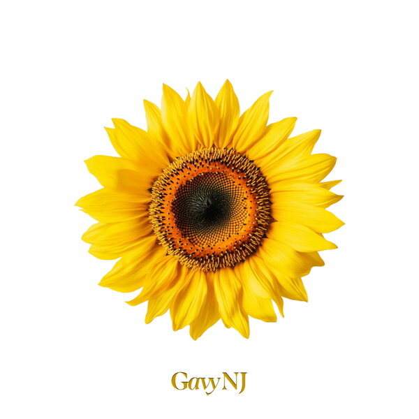 ▲ 가비엔제이 리메이크 싱글 '더 가비엔제이 : II'가 3일 오후 6시 공개된다. 제공|알비더블유, DSP미디어
