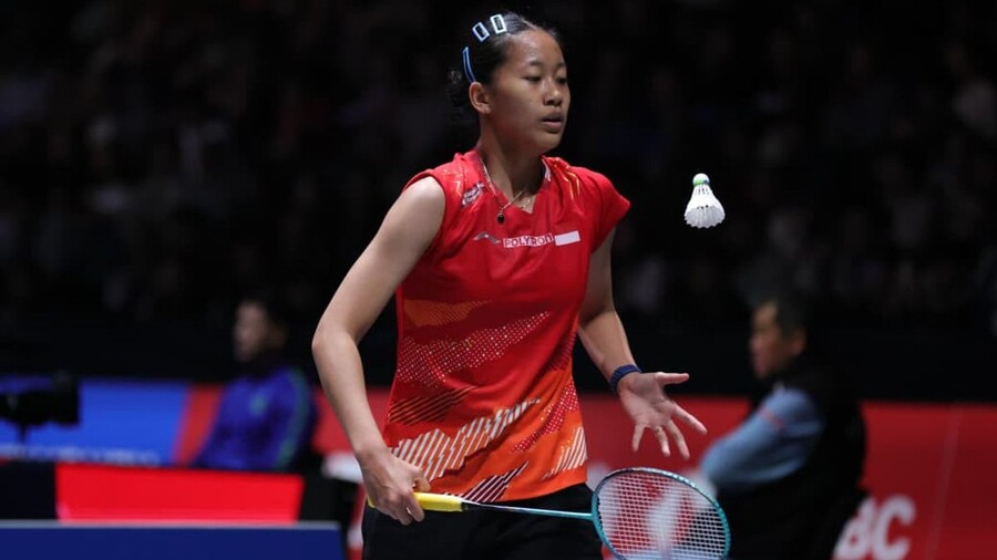 ▲  출처| PBSI