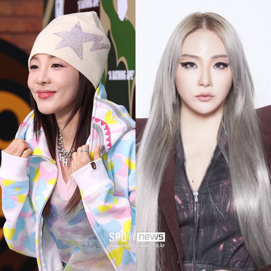 산다라박 이어 CL도 박봄 '언팔'?…뜬금 마약 폭로글에 불거진 '손절설'[이슈S]