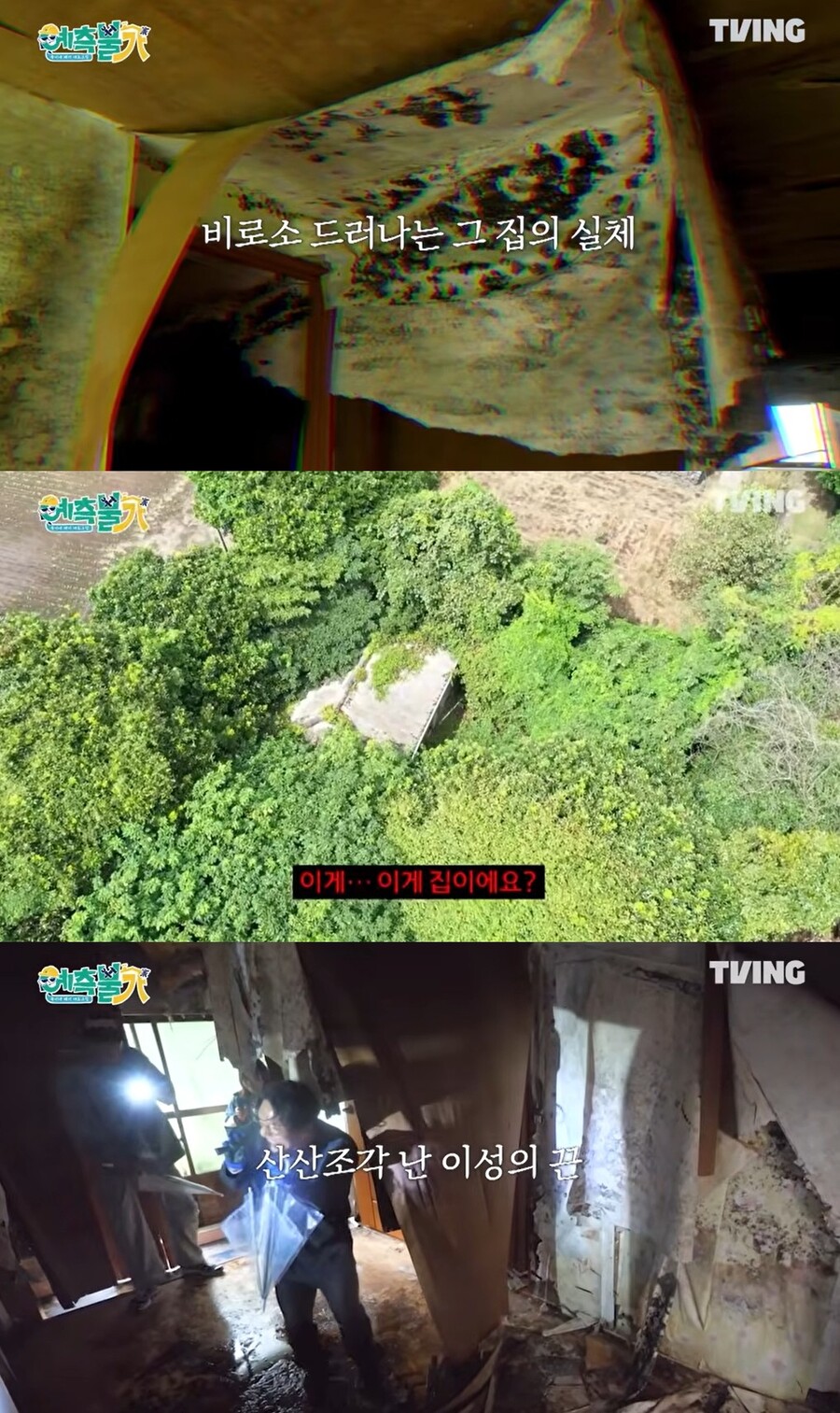 "1억 미만으로 샀다"더니…김숙 200평 제주집, 폐가 수준 '충격'